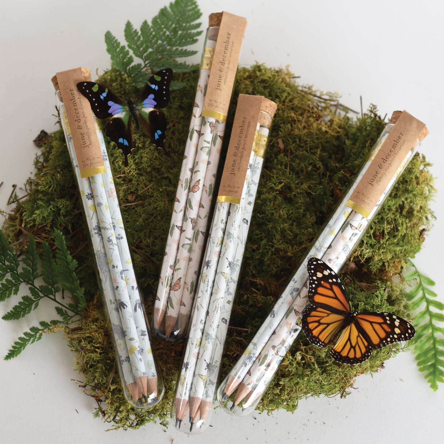 Butterfly Garden Pencil Terrarium