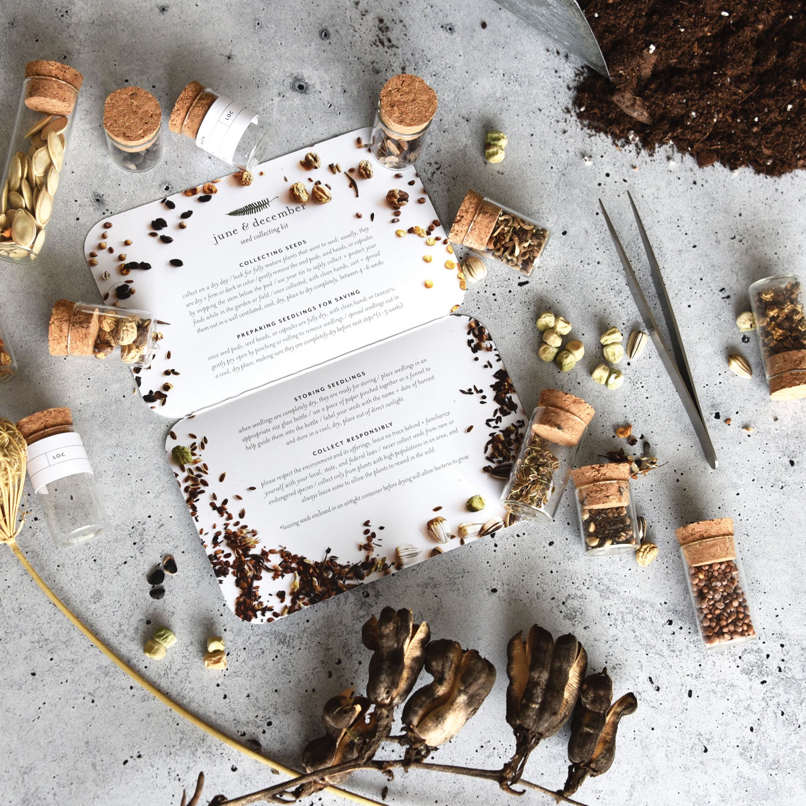 Seed Collecting Kit | Heirloom Garden Seed Saving Kit – June & December