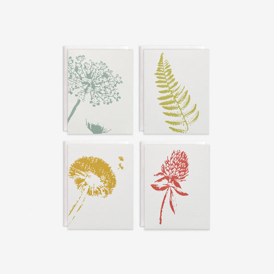 Load image into Gallery viewer, Wild Pretties Boxed Set
