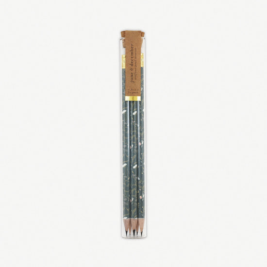Wildflower Pencil Terrarium : Set of 5 Pencils