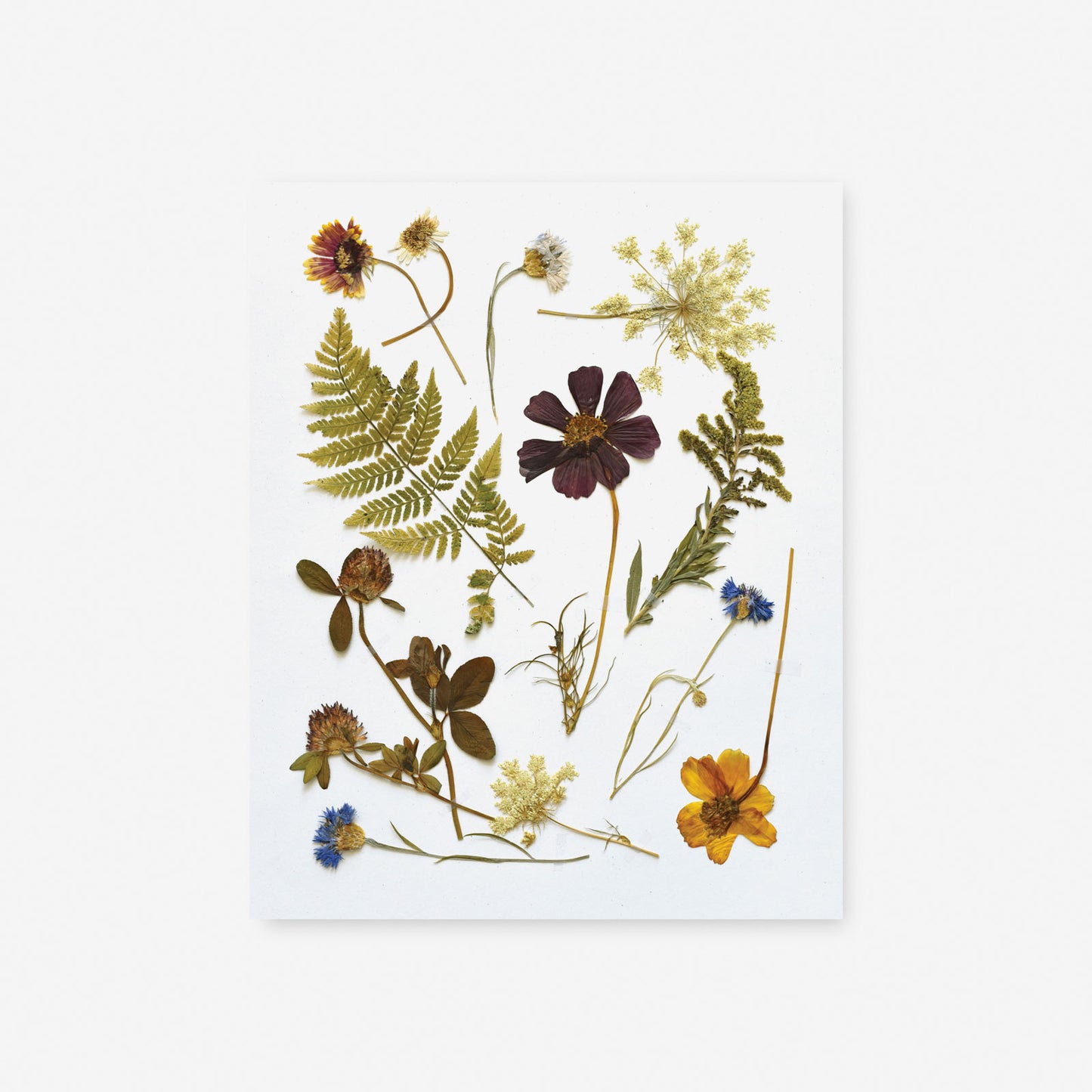 Pocket Flower Press – June & December