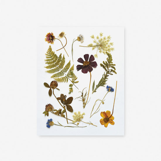 Field Flower Press – June & December